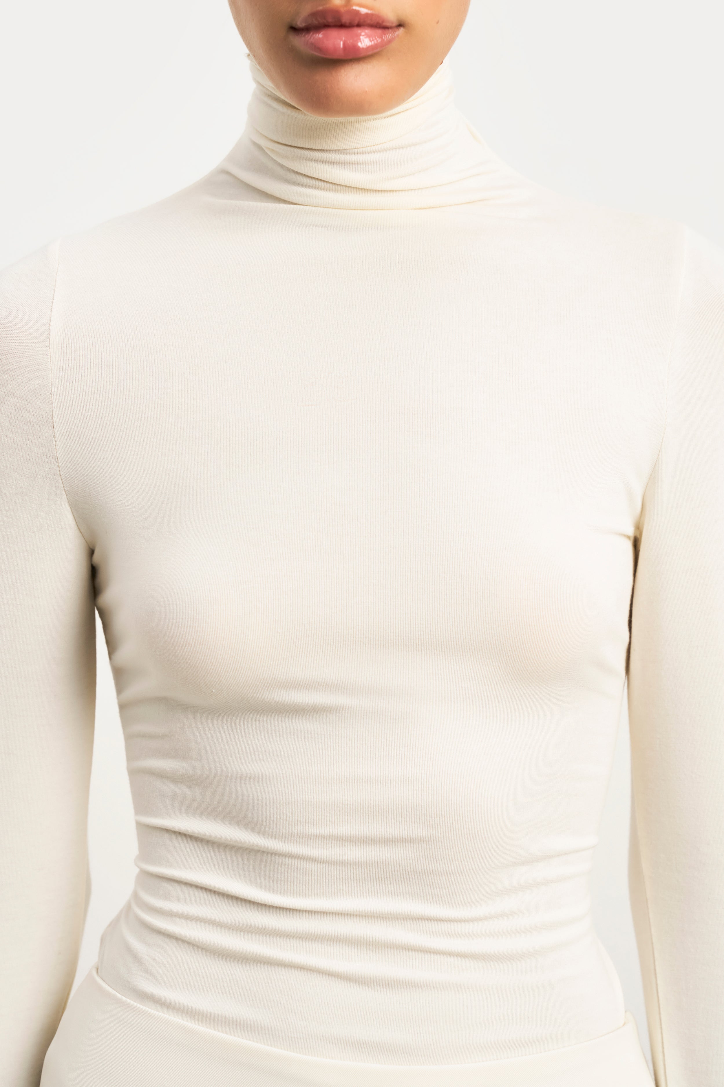 Semi Sheer High Neck Longsleeve Top - Cream | BOA