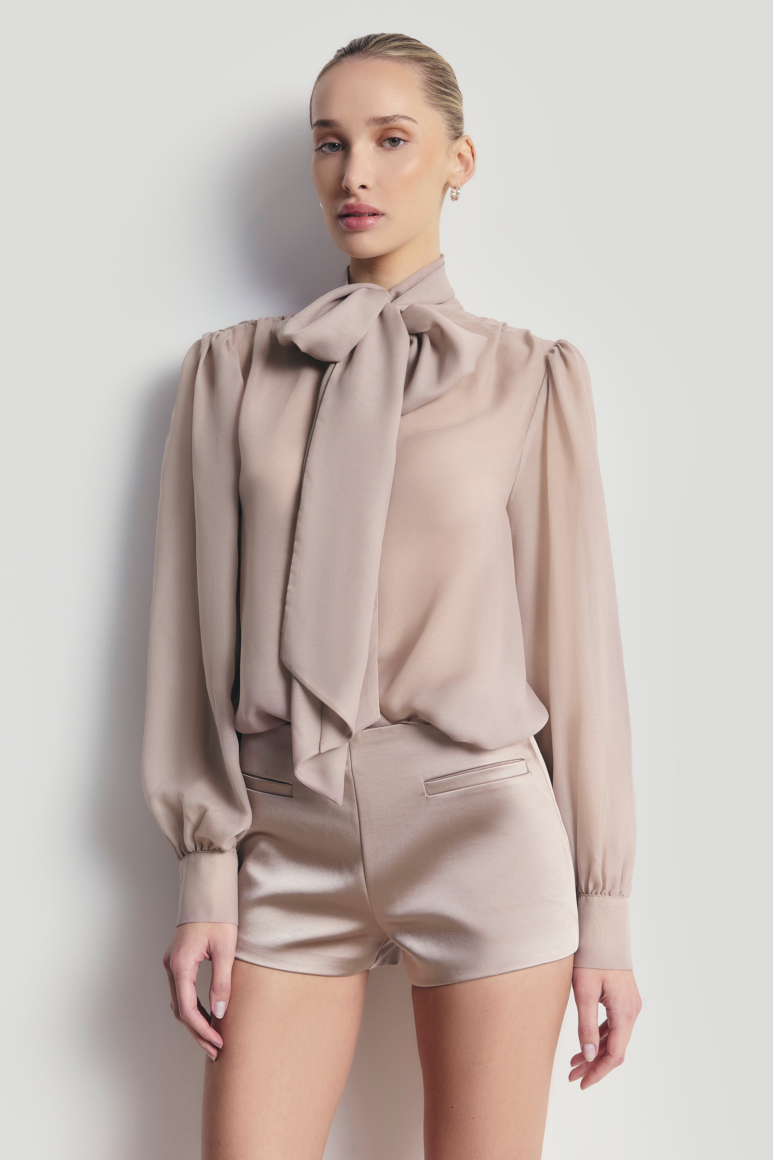 Sheer Chiffon Tie Neck Blouse - Mink | BOA