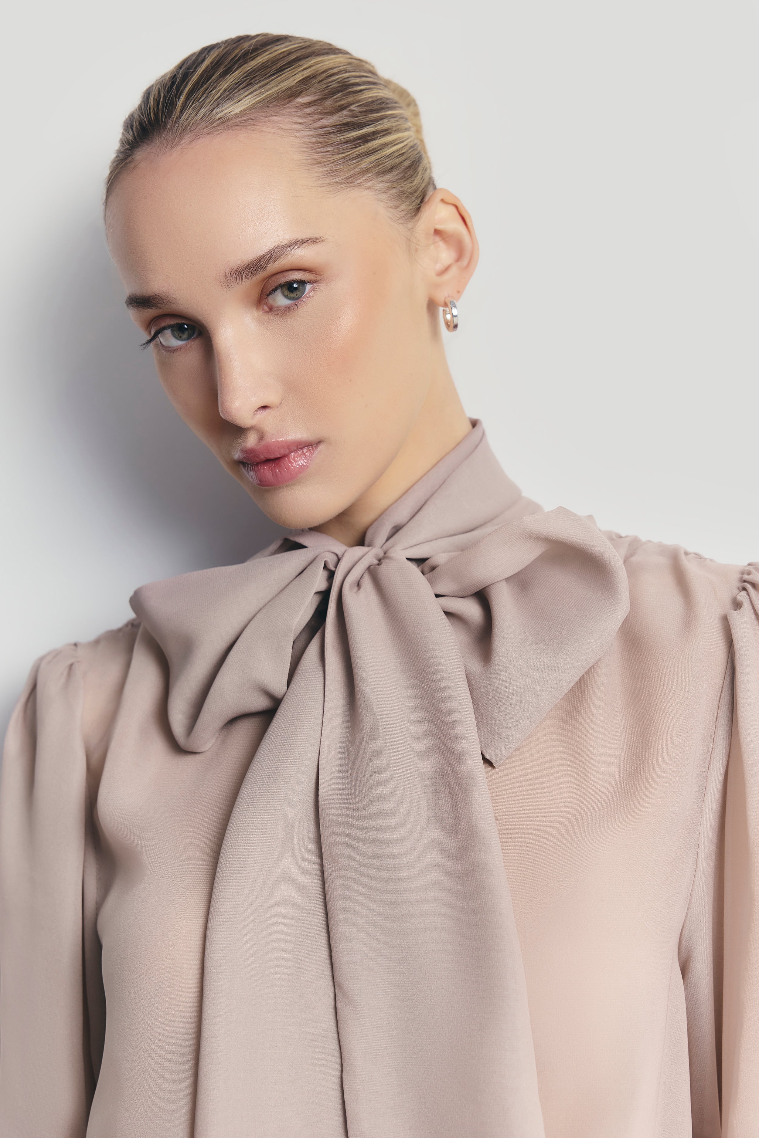 Sheer Chiffon Tie Neck Blouse - Mink